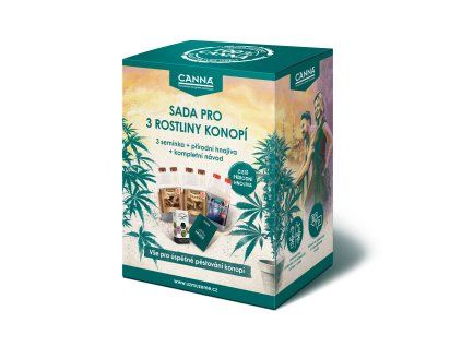 32218 canna starter sada pro 3 rostliny